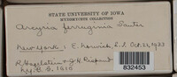 Image Associated With the Occurence
